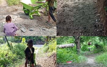 Wartawan Buka Badan Jalan di Halsel, Proposal ke Pemda Tak Juga Direalisasi