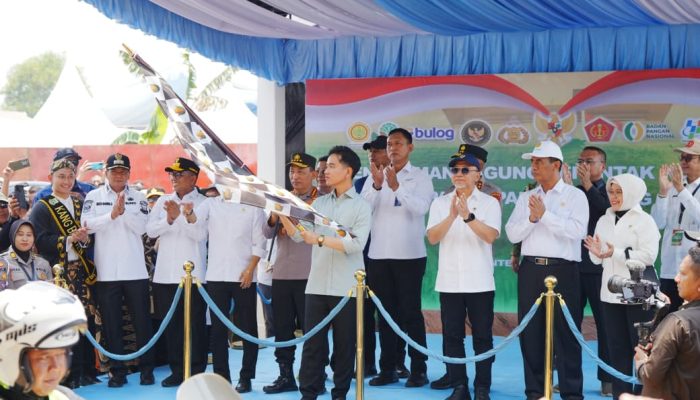 Tanam Serentak, 1.268 Ton Jagung Dilepas Polri untuk Bulog