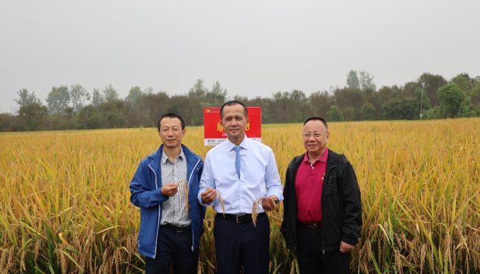 Pemerintah Indonesia Tindak Lanjuti Minat Investor Wuhan untuk Bangun Desa Pariwisata Pertanian di Kawasan Transmigrasi