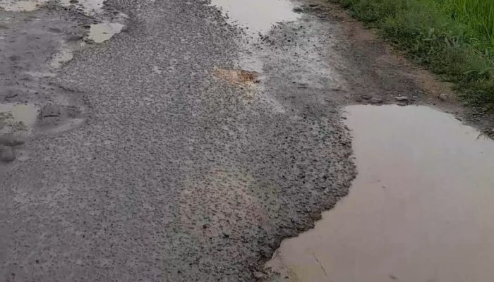 Jalan Sumanna Kampung Parang Rusak Parah, Warga Meminta Pemerintah Bertindak Nyata