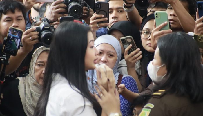 Putusan Laras Faizati, Vonis Pengawasan Perdana Penerapan KUHP Baru