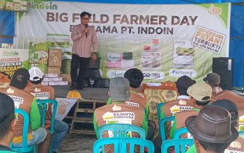 Big Field Farmer Day PT. Indoin Business Group: Perkenalkan Produk Unggulan dan Tingkatkan Wawasan Petani