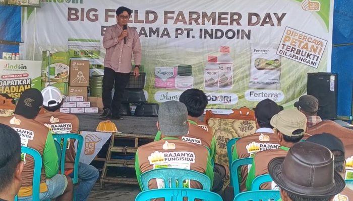 Big Field Farmer Day PT. Indoin Business Group: Perkenalkan Produk Unggulan dan Tingkatkan Wawasan Petani
