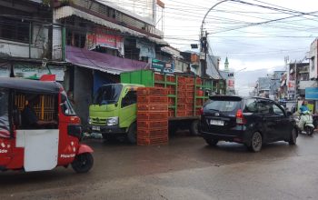 Diduga Pembiaran, Aktivitas Bongkar Muat Ayam di Bontoala Lumpuhkan Jalan: Camat Kemana?